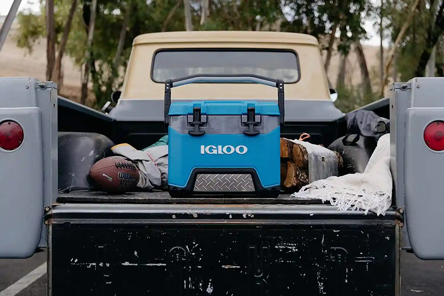 Igloo Heavy-Duty 25 Qt BMX Ice Chest Cooler with Cool Riser Technology