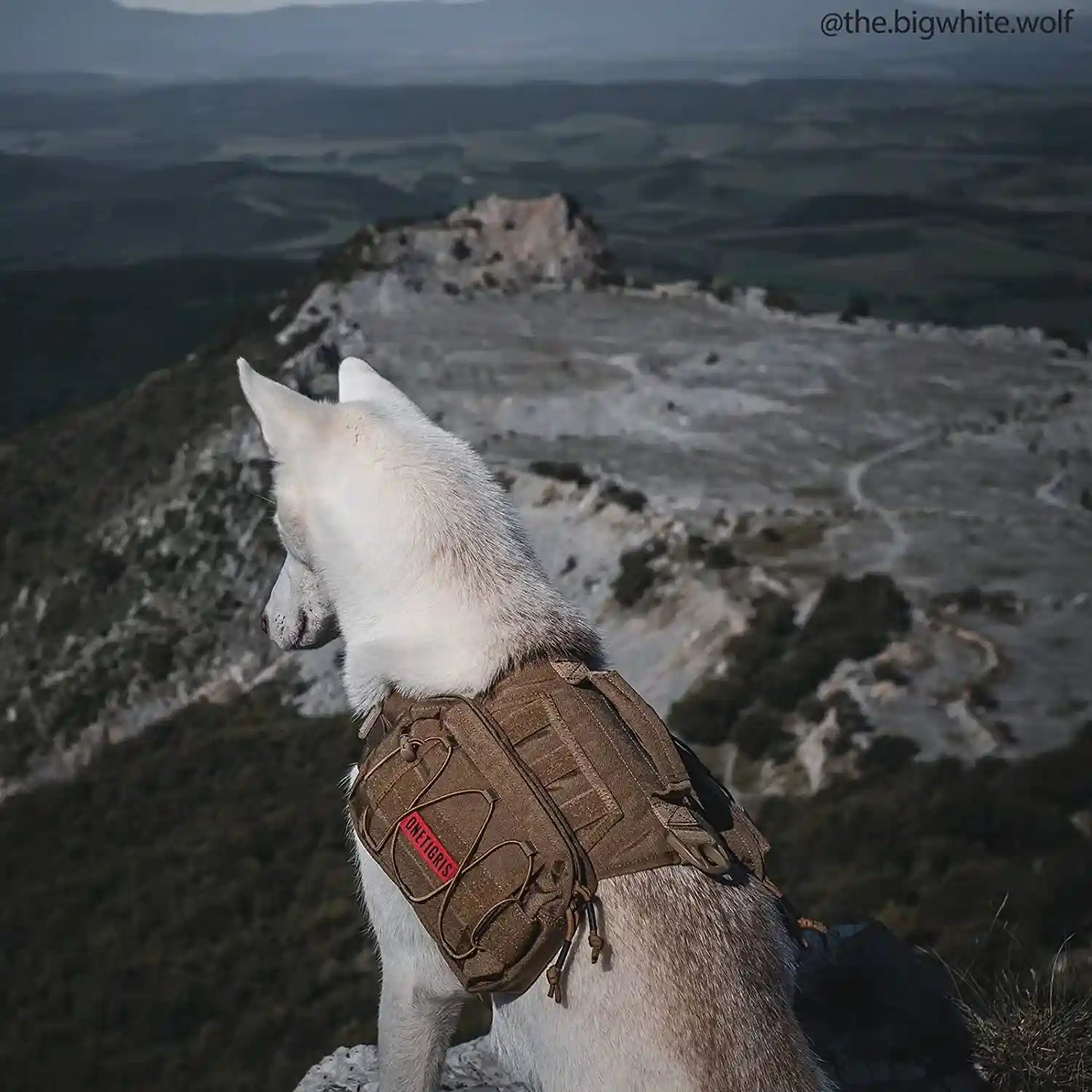 Onetigris Dog Backpack for Medium & Large Dogs, Nylon Backpack for Dogs Tactical Pet Backpack with Side Pockets for Hiking Walking Training Running (Brown, Medium)